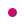 Pink dot